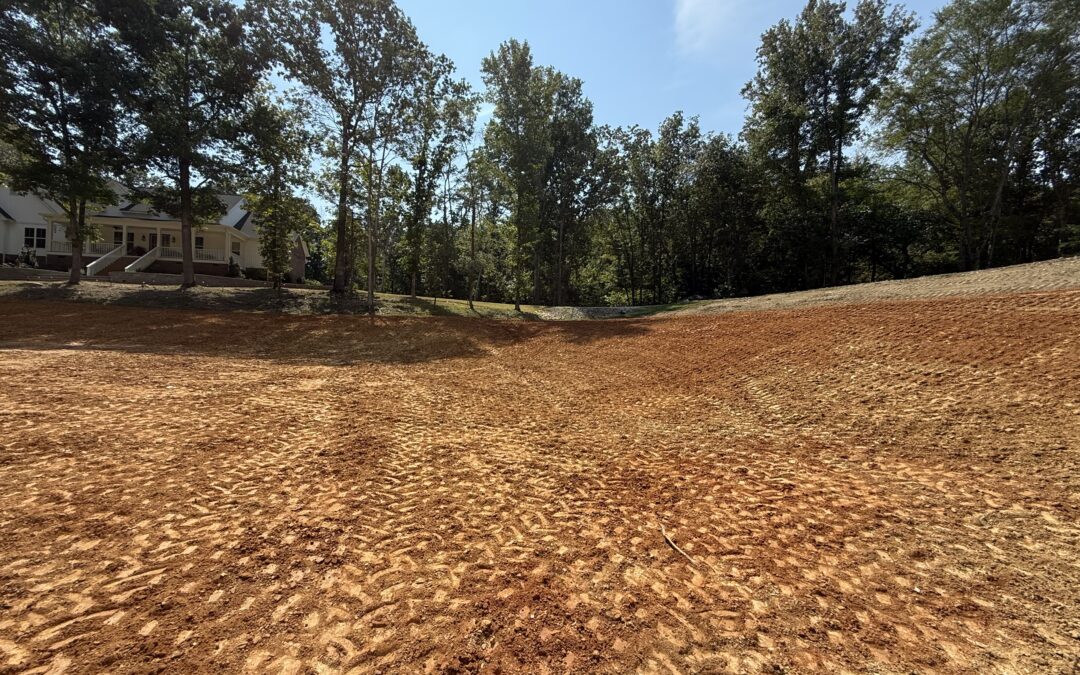 Before and After Pond Restoration