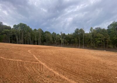 Before and After Grading & Clearing